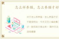 怎么样养猫，怎么养猫才好