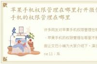 苹果手机权限管理在哪里打开微信，苹果手机的权限管理在哪里
