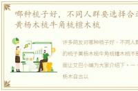 哪种梳子好，不同人群要选择合适的梳子黄杨木梳牛角梳檀木梳