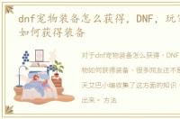 dnf宠物装备怎么获得，DNF，玩家的宠物如何获得装备