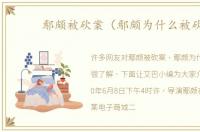 鄢颇被砍案（鄢颇为什么被砍）