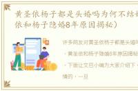 黄圣依杨子都是头婚吗为何不结婚（黄圣依和杨子隐婚8年原因揭秘）