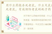 用什么药能杀死老鼠，什么灭鼠药可以杀死老鼠，有效预防老鼠的耗子药