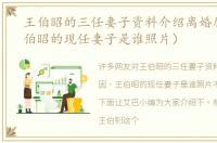 王伯昭的三任妻子资料介绍离婚原因（王伯昭的现任妻子是谁照片）