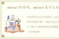 wetool好用吗，wetool是什么软件啊