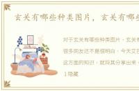 玄关有哪些种类图片，玄关有哪些种类