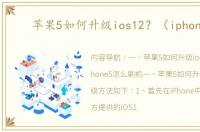 苹果5如何升级ios12？（iphone5）
