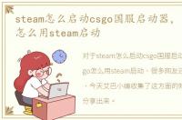 steam怎么启动csgo国服启动器，国服csgo怎么用steam启动
