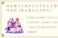 林永健几个孩子大儿子怎么了得的什么病咋死的（林永健大儿子照片）