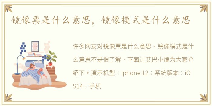 镜像票是什么意思，镜像模式是什么意思