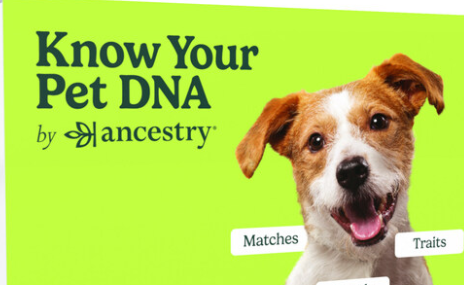 Ancestry 推出解您的宠物DNA