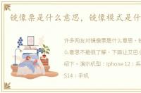 镜像票是什么意思，镜像模式是什么意思