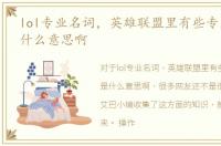 lol专业名词，英雄联盟里有些专业术语是什么意思啊