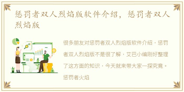 惩罚者双人烈焰版软件介绍，惩罚者双人烈焰版