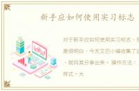 新手应如何使用实习标志