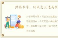 弹药专家，时装怎么选属性