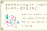 李佳琦付鹏为什么分开（付鹏为什么离开李佳琦两人是不是闹翻了）