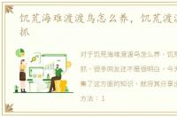 饥荒海难渡渡鸟怎么养，饥荒渡渡鸟怎么抓