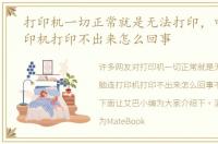 打印机一切正常就是无法打印，电脑连打印机打印不出来怎么回事
