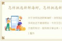 怎样挑选新鲜海虾，怎样挑选新鲜虾