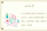 av公司