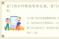 看门狗如何躲避警察追捕，看门狗如何联机