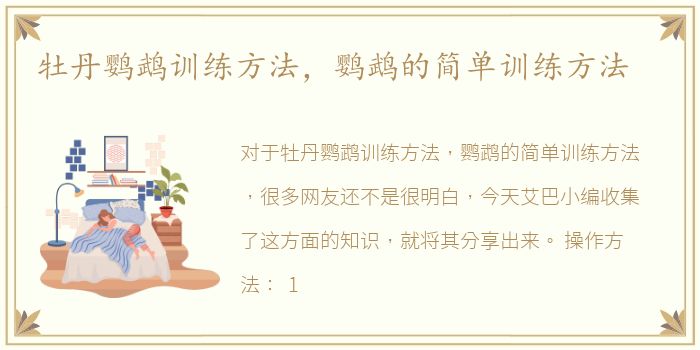 牡丹鹦鹉训练方法，鹦鹉的简单训练方法