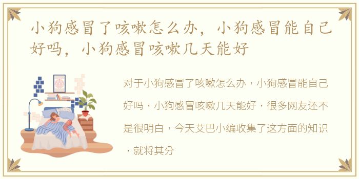 小狗感冒了咳嗽怎么办，小狗感冒能自己好吗，小狗感冒咳嗽几天能好