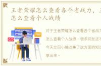王者荣耀怎么查看各个省战力，王者荣耀怎么查看个人战绩