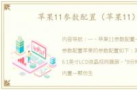 苹果11参数配置（苹果11）