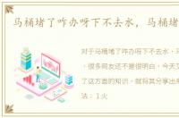 马桶堵了咋办呀下不去水，马桶堵了咋办