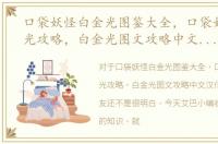 口袋妖怪白金光图鉴大全，口袋妖怪白金光攻略，白金光图文攻略中文汉化版