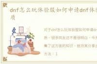 dnf怎么玩体验服如何申请dnf体验服务资质