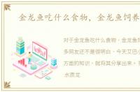金龙鱼吃什么食物，金龙鱼饲养技巧