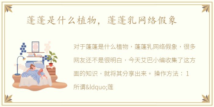 蓬蓬是什么植物，蓬蓬乳网络假象