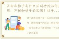 芦柑和桔子有什么区别功效如何用途怎么用，芦柑和橘子的区别！桔子和橘子的区别！