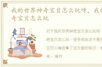 我的世界神奇宝贝怎么玩呀，我的世界神奇宝贝怎么玩