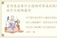 室内适合养什么植物对家庭比较好，室内放什么植物最好
