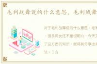 毛利战舞说的什么意思，毛利战舞怎么喊