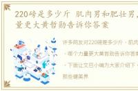 220磅是多少斤 肌肉男和肥壮男，哪个力量更大黄哲勋告诉你答案