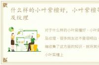 什么样的小叶紫檀好，小叶紫檀等级划分及纹理