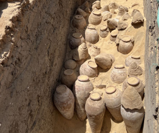 阿比多斯出土有5000年历史的酒罐