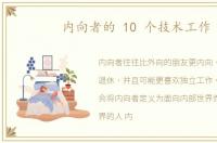内向者的 10 个技术工作