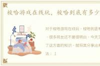 梭哈游戏在线玩，梭哈到底有多少种玩法