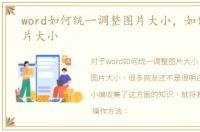 word如何统一调整图片大小，如何调整图片大小