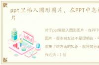 ppt里插入圆形图片，在PPT中怎样插入图片