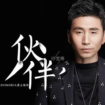 沙宝亮，中国内地流行乐男歌手、演员