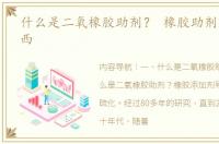 什么是二氧橡胶助剂？ 橡胶助剂是什么东西