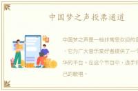 中国梦之声投票通道