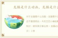 龙猫是什么动画，龙猫是什么